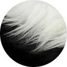 BOINA VELCRO LANA MERINO - Imagen 2